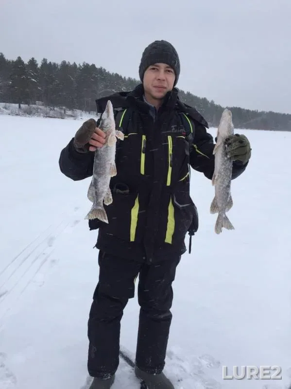 Pike — Teklyuyevskoye, Nov 02, 2019