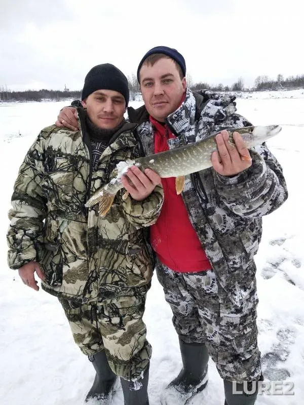 Pike — Tolych, Nov 03, 2019