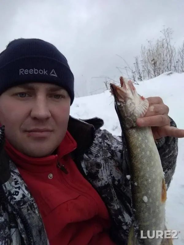 Pike — Tolych, Nov 03, 2019