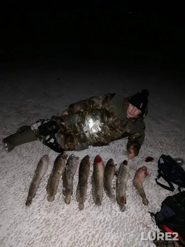 Burbot — Zyryanka, Nov 09, 2019