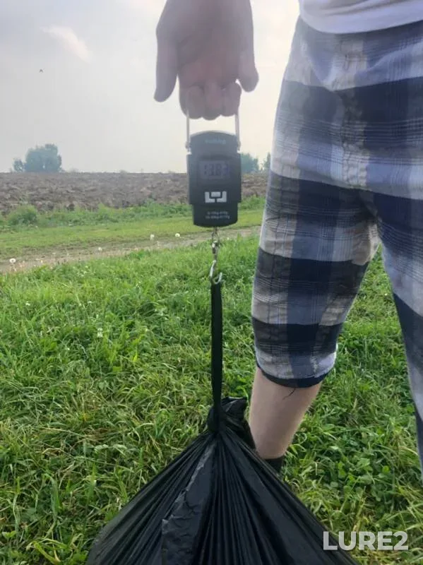 Carp — Igumnoye, May 31, 2019