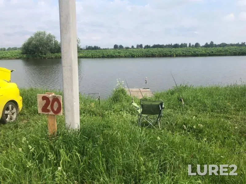 Bream, Carp — Igumnoye, Jun 01, 2019