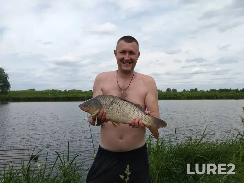 Carp — Igumnoye, Jun 02, 2019