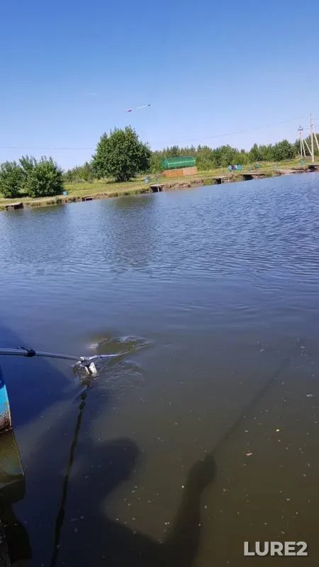 Carp — Igumnoye, Jun 04, 2019