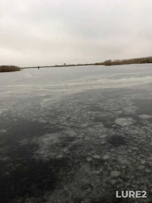 Perch — Pskovskoye, Nov 26, 2019