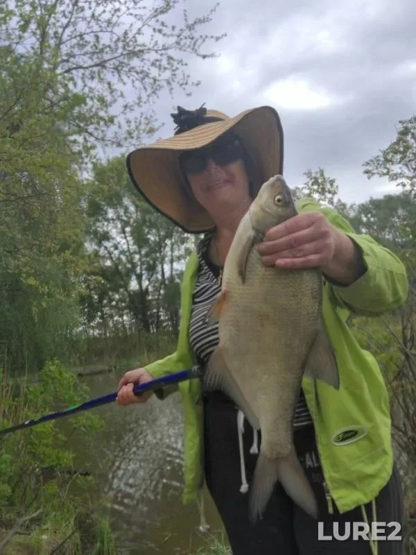 Bream — Cherkaska oblast, May 19, 2017