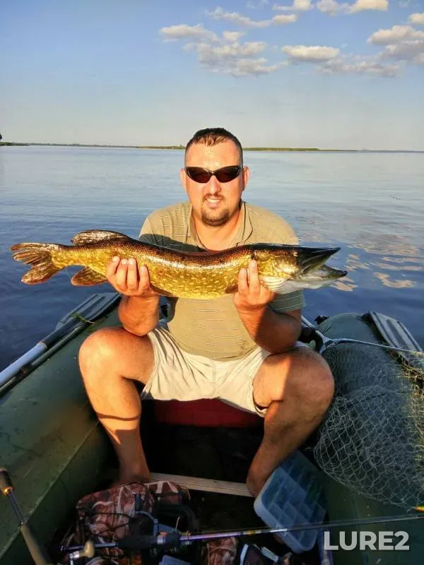 Pike — Cherkaska oblast, Jul 19, 2017
