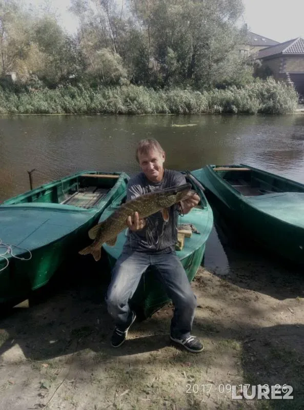 Pike — Kiїvska oblast, Sep 17, 2017