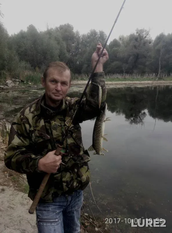 Pike — Kiїvska oblast, Oct 01, 2017