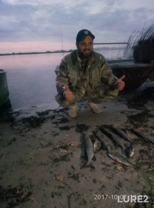 Perch, Pike — Cherkaska oblast, Oct 08, 2017