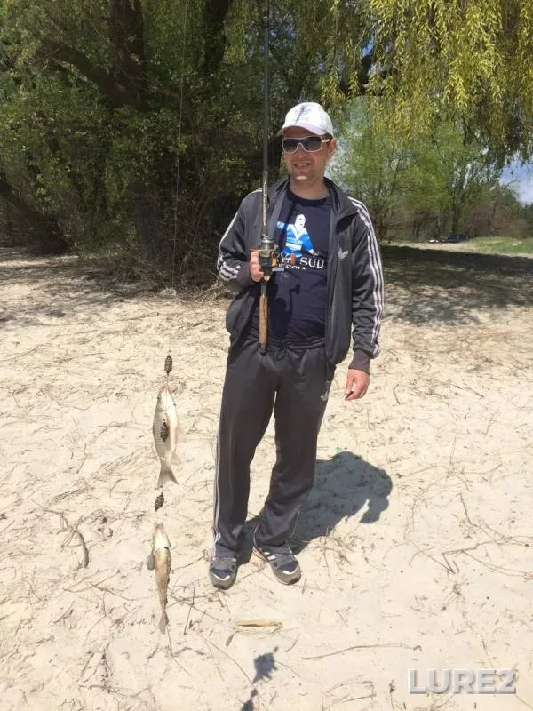 Bream — Cherkaska oblast, Apr 28, 2018