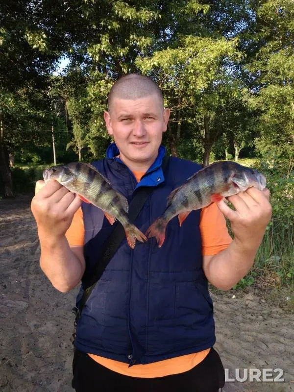 Perch — Dnepr, Jun 04, 2018