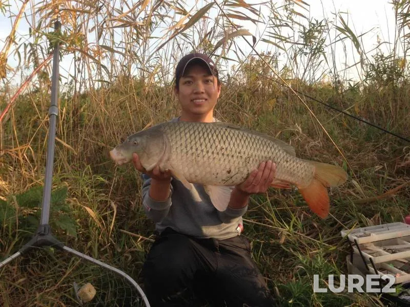 Carp — Glubokiy Turunchuk, Oct 29, 2017