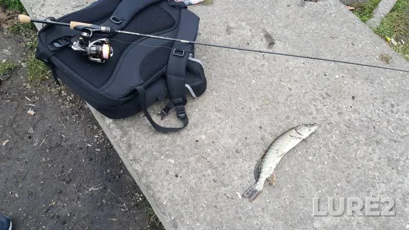 Pike — Odeska oblast, Mar 14, 2018