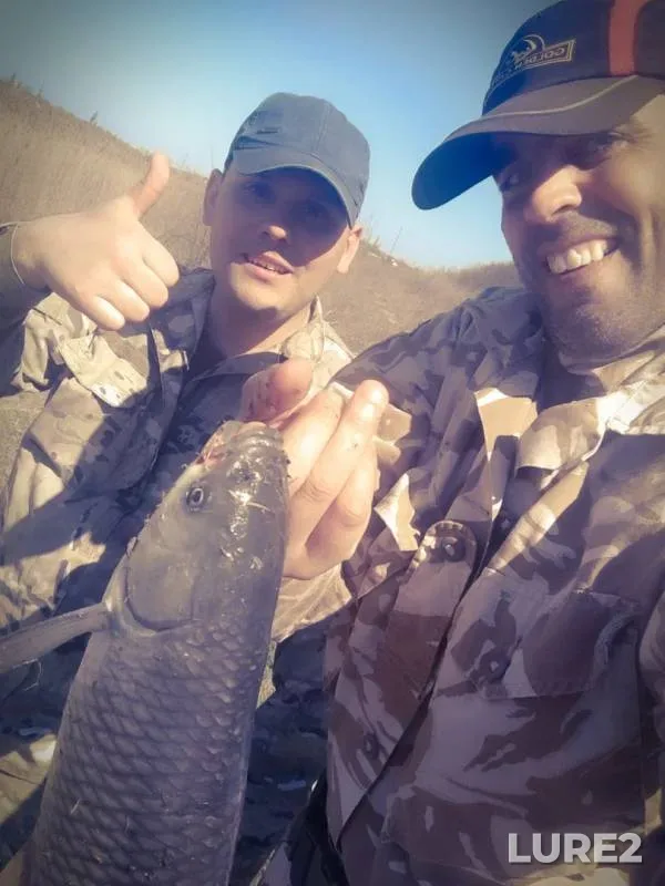 Grass carp — Odeska oblast, Apr 10, 2018