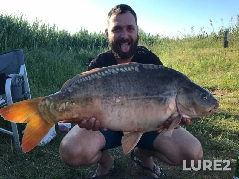 Carp — Odeska oblast, Jun 02, 2018