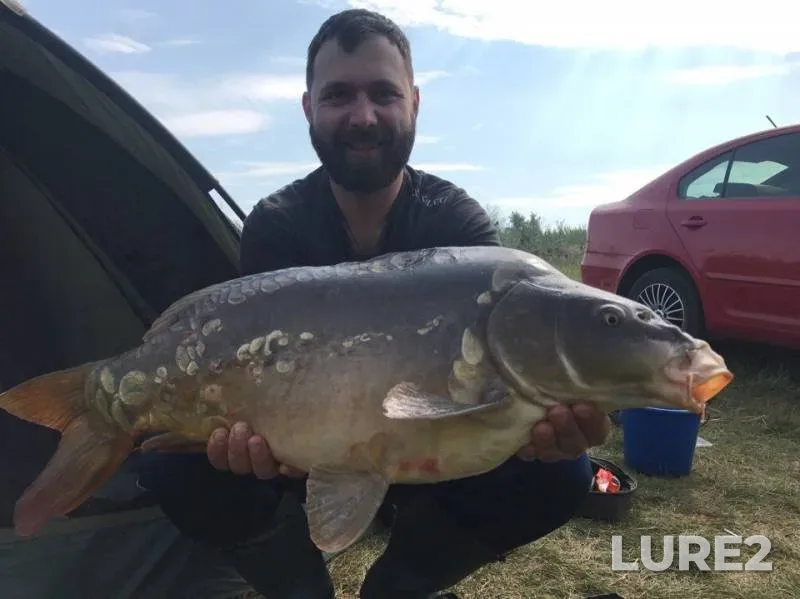 Carp — Odeska oblast, Jun 03, 2018