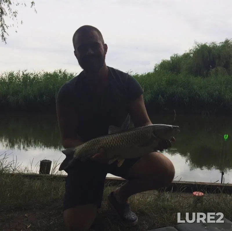 Grass carp — Odeska oblast, Jun 18, 2018