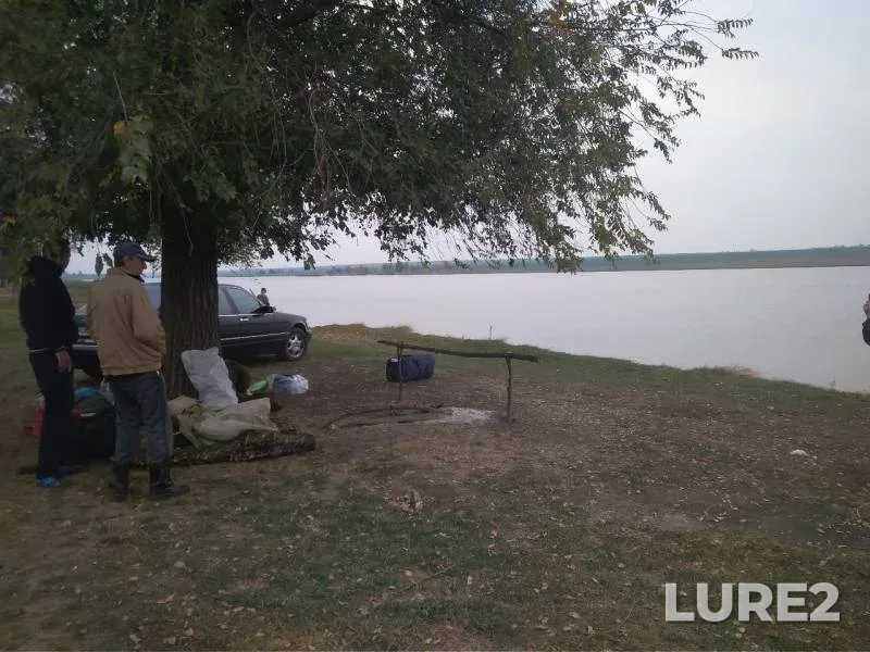 Zander — Odeska oblast, Oct 21, 2018
