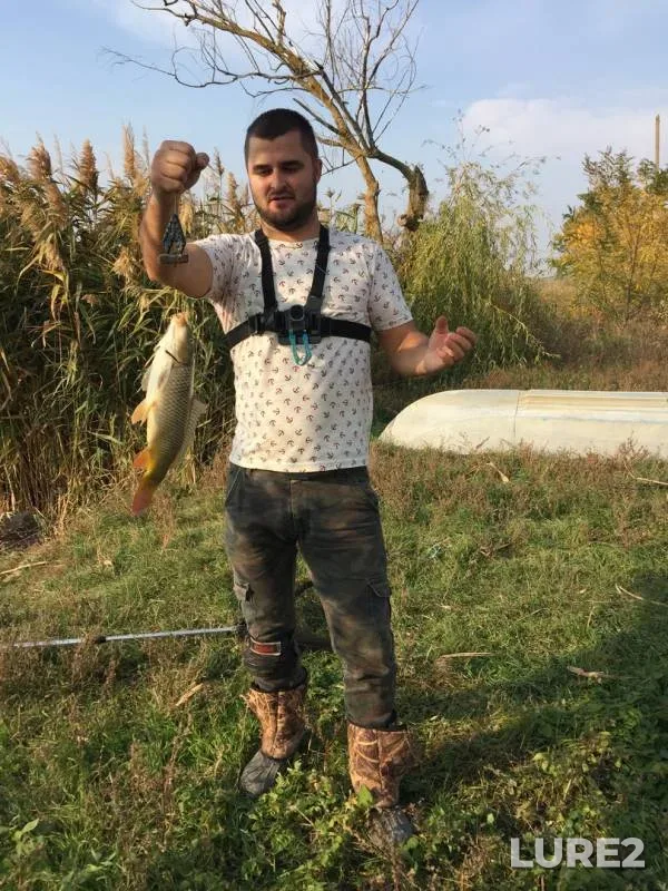Carp — Mikolaїvska oblast, Oct 22, 2018