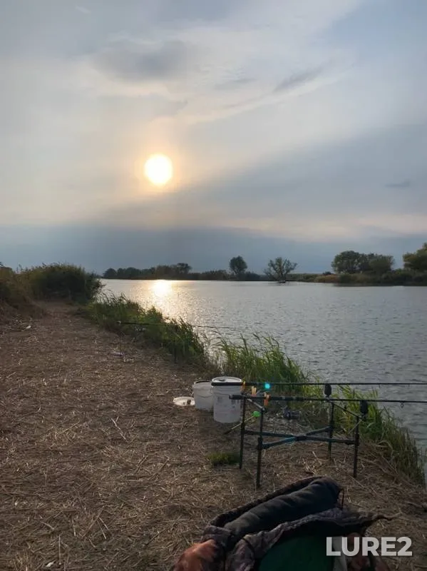Carp — Glubokiy Turunchuk, Oct 24, 2019