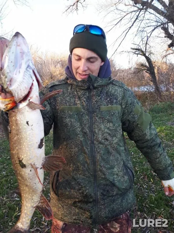 Pike — Chyornaya Kalitva, Nov 01, 2018