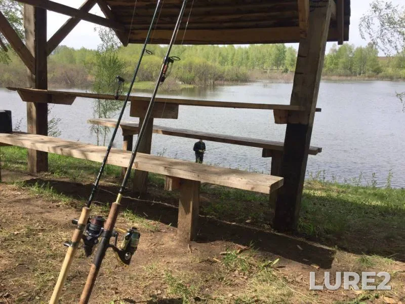 Crucian carp — Kemerovskaya oblast, May 22, 2017