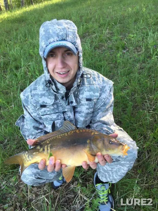 Carp — Kemerovskaya oblast, May 27, 2017