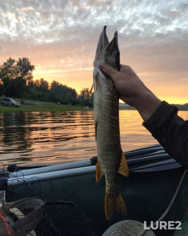 Pike — Tom, Jul 09, 2017