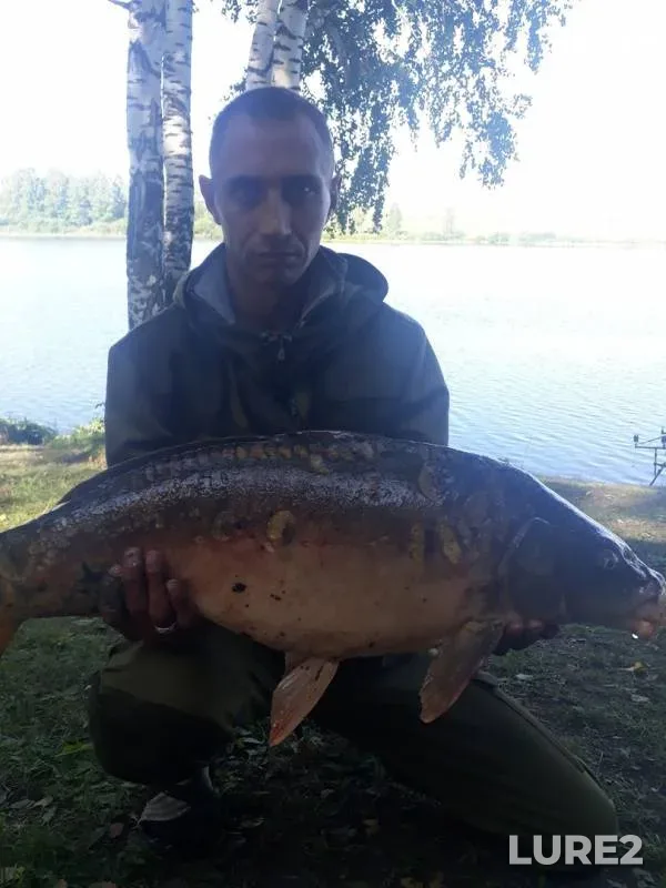 Carp — Kemerovskaya oblast, Aug 10, 2019