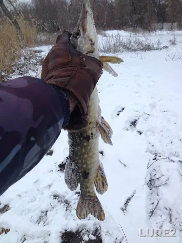 Pike — yerik Skupoy, Feb 23, 2019