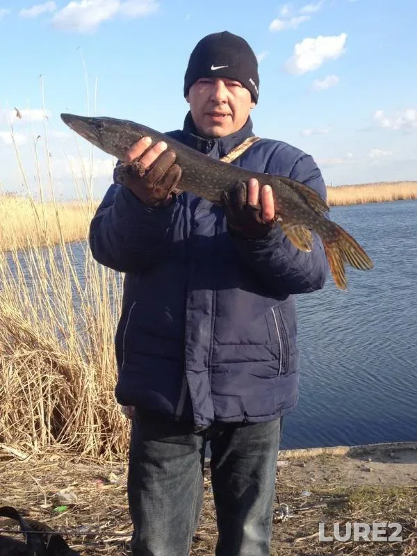 Pike — Karaich, Mar 29, 2019
