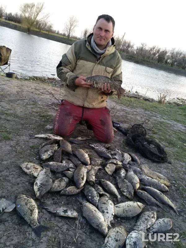 Crucian carp — yerik Draganov, Apr 15, 2019