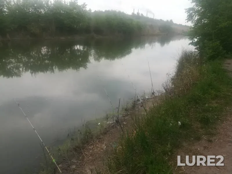 Crucian carp — yerik Draganov, Apr 30, 2019