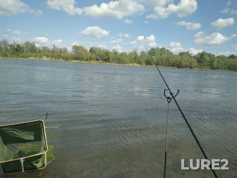 Crucian carp — Don, May 06, 2019