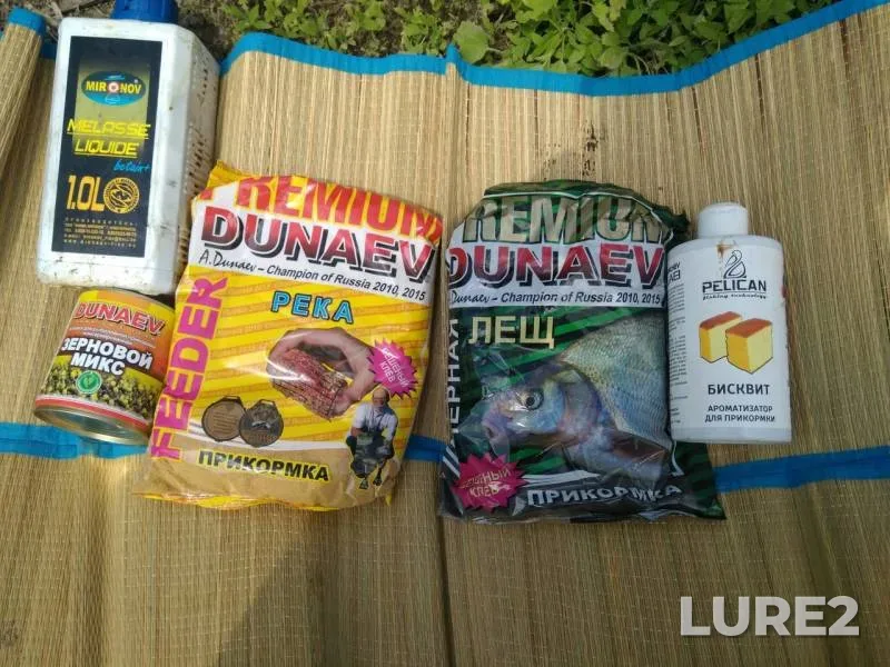 Crucian carp, White bream — Don, May 24, 2019