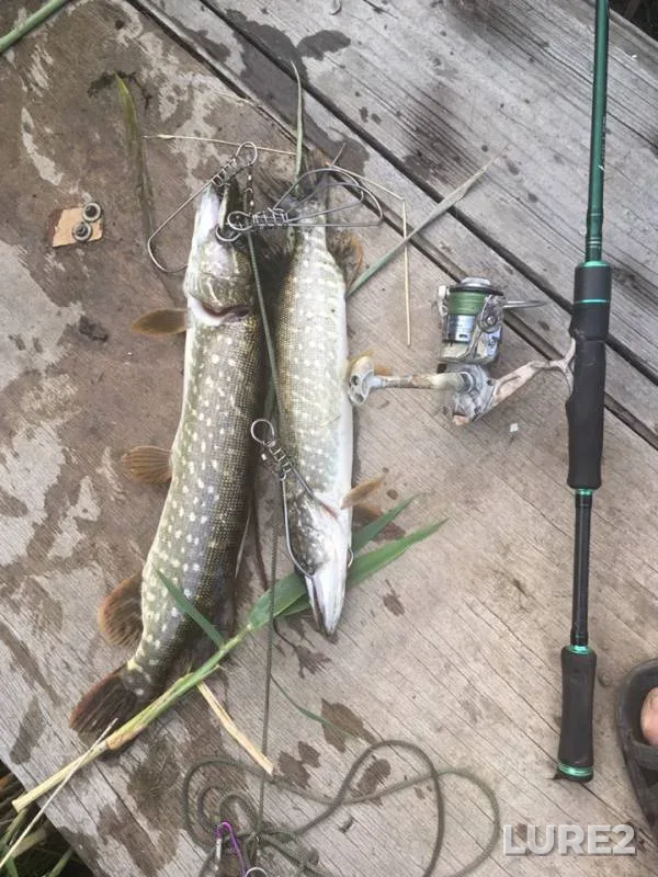 Pike — Tuzlov, Jun 12, 2019