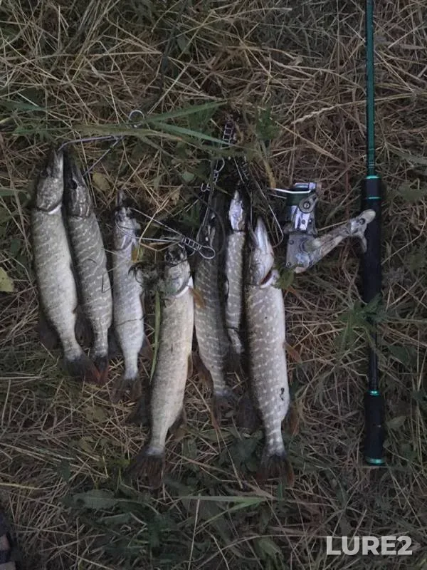 Pike — Tuzlov, Jun 16, 2019