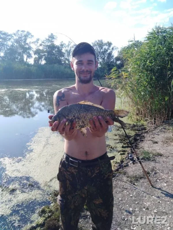 Crucian carp — Tuzlov, Jul 21, 2019