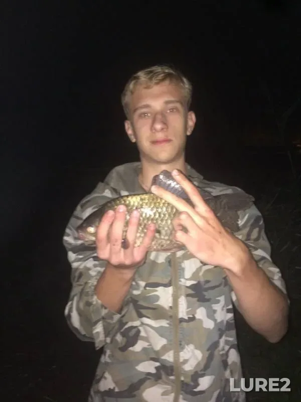 Crucian carp — Aksay, Aug 14, 2019