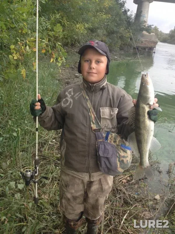 Perch, Zander — yerik Uzkiye Baklantsy, Sep 22, 2019