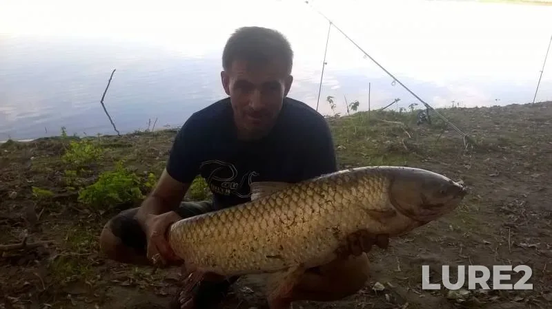Crucian carp — Volga, Aug 28, 2017