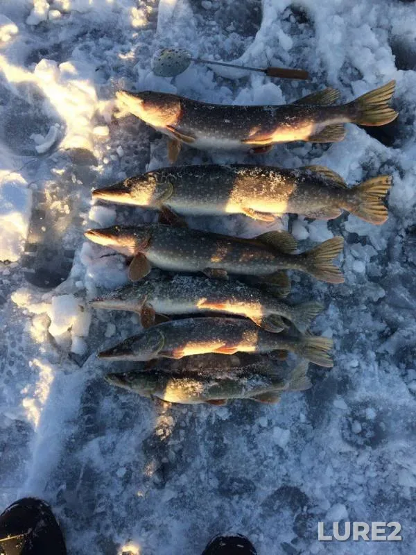 Pike — Sorochinskoye, Dec 17, 2017
