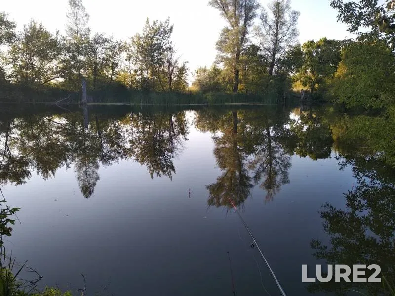 Crucian carp, White bream — Kamyshovoye, Jul 27, 2018