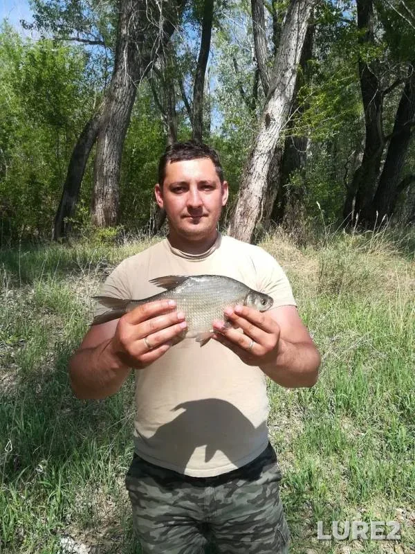 Bream, Roach — Salmysh, May 11, 2019