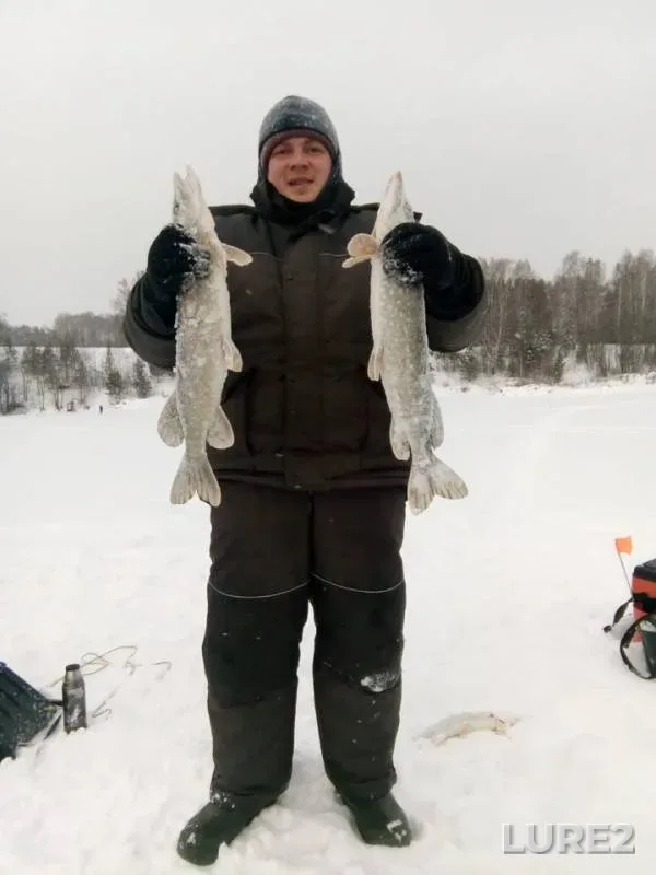 Pike — Sverdlovskaya oblast, Achitskiy gorodskoy okrug, Jan 07, 2019