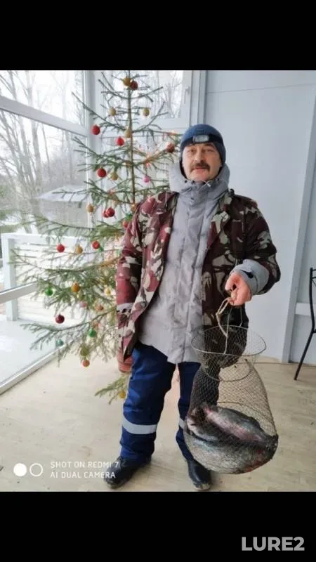 Rainbow trout — Kipenskoye, Jan 02, 2020