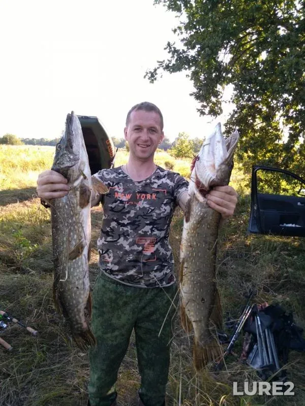 Pike — Rvy, Aug 21, 2019