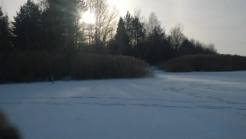 Окунь, Щука