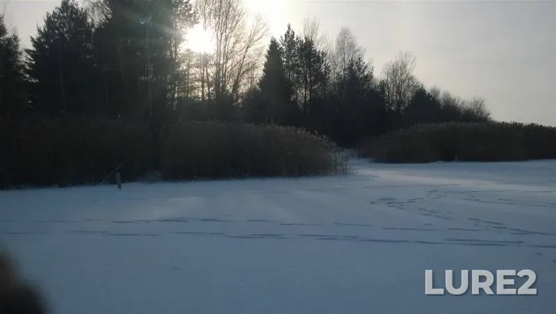Perch, Pike — Petrovichskoye, Jan 03, 2016
